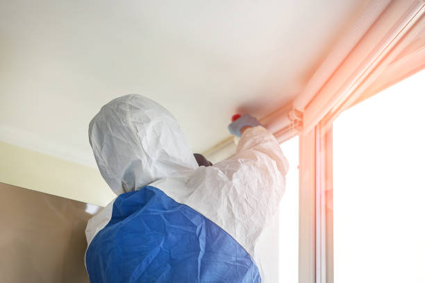 Best Environmental Consulting for Mold Prevention  in Port Hadlock Irondale, WA